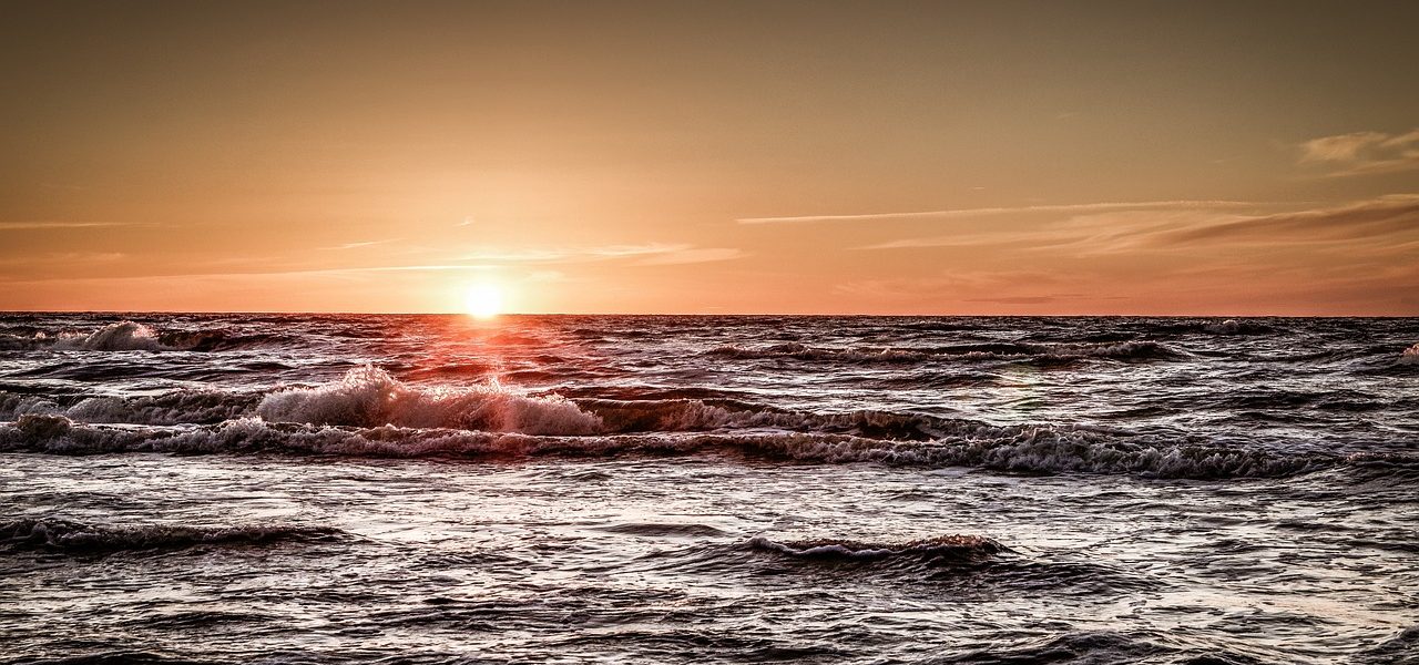 claro que plus ultra